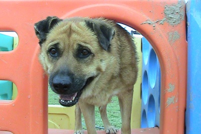 Friday in the play house