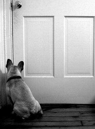 <small>photo courtesy of Flickr.com/helloturkeytoe</small>