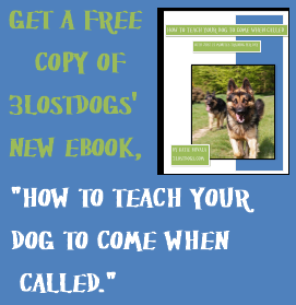 ebookbutton