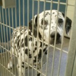 Nov19Shelter 154