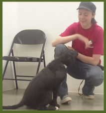 Working with a shelter pup