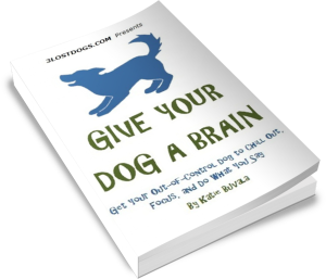 Give Your Dog a Brain