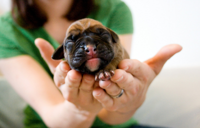 SQUEE