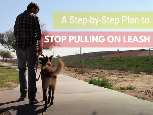 How to Use A Slip Lead to Stop Pulling