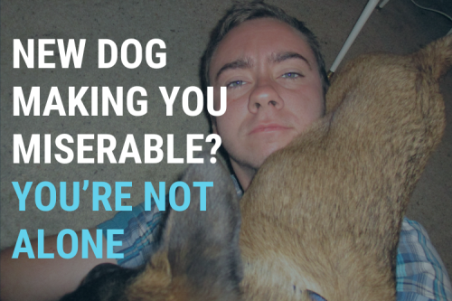 Is your new dog making you miserable? You're not alone